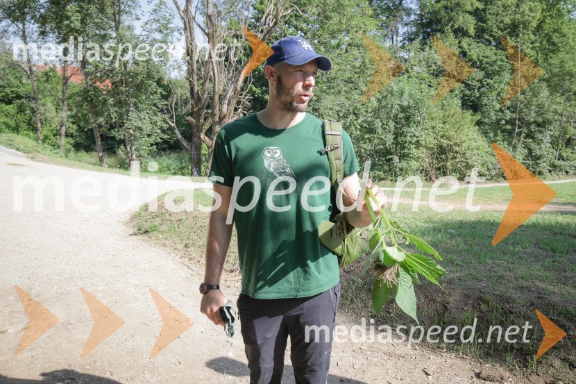Akcija Očistimo Kranj invazivk