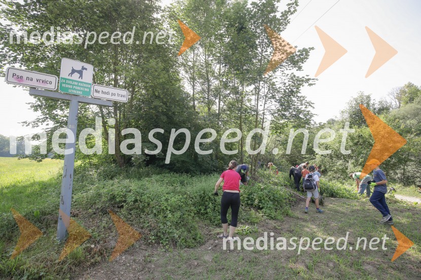 Akcija Očistimo Kranj invazivk