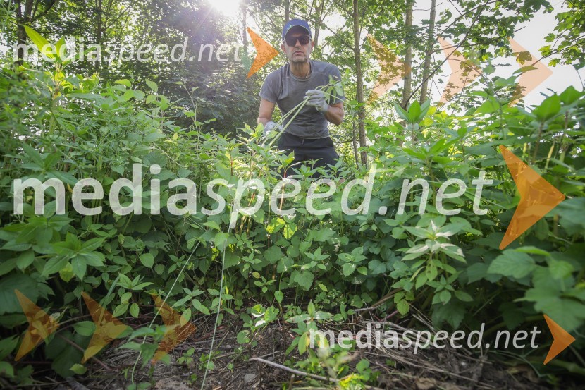  Matjaž Rakovec, župan Mestne občine KranjAkcija Očistimo Kranj invazivk