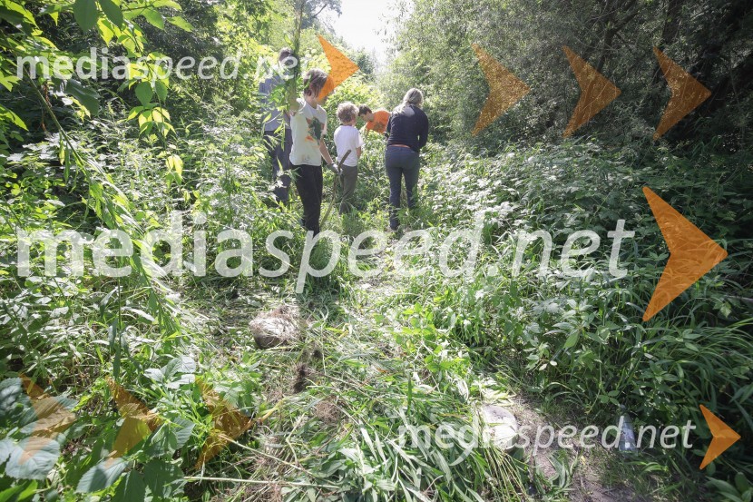 Akcija Očistimo Kranj invazivk