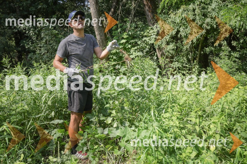 Akcija Očistimo Kranj invazivk