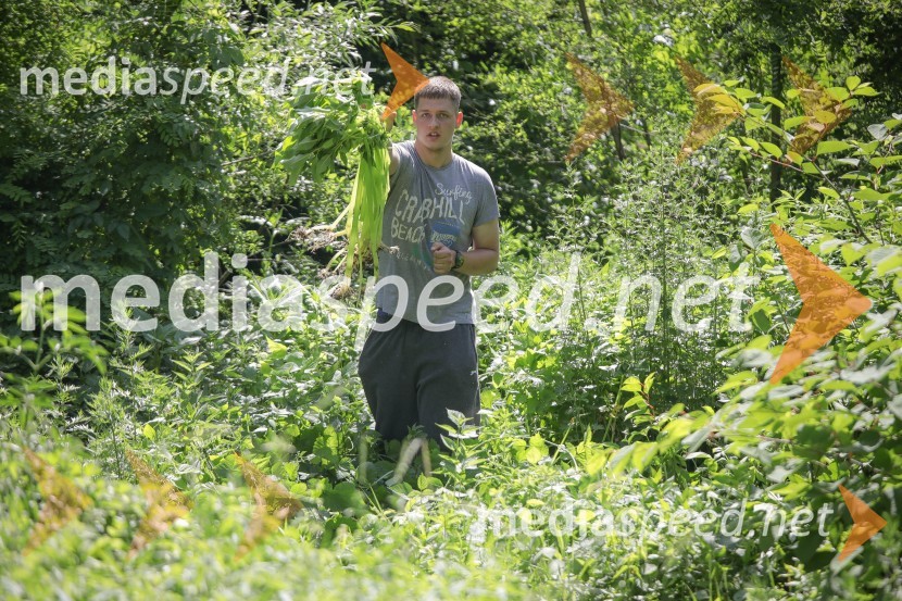 Akcija Očistimo Kranj invazivk