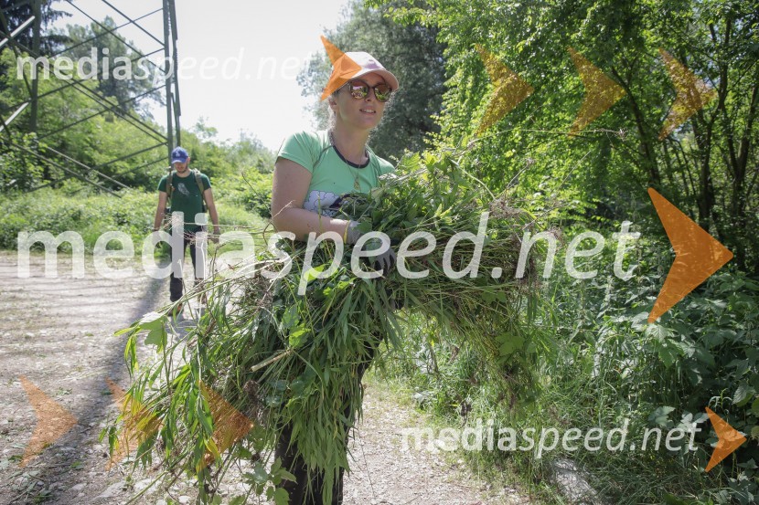 Akcija Očistimo Kranj invazivk
