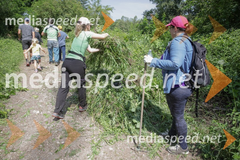 Akcija Očistimo Kranj invazivk