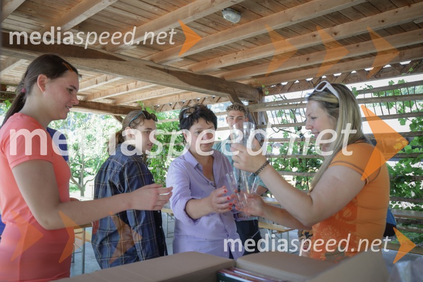 Akcija Očistimo Kranj invazivk