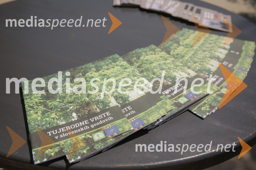 Akcija Očistimo Kranj invazivk