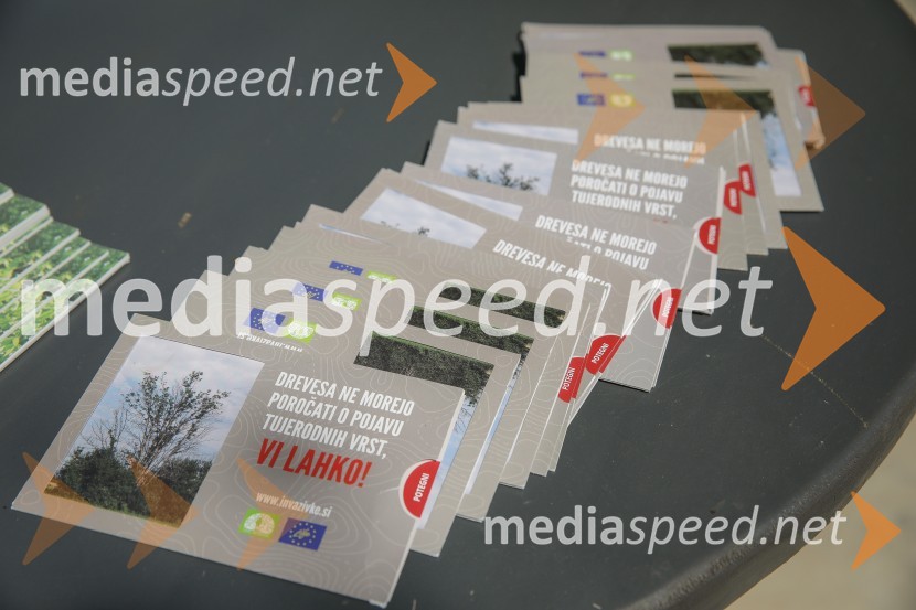 Akcija Očistimo Kranj invazivk