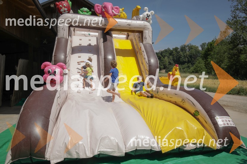 Akcija Očistimo Kranj invazivk