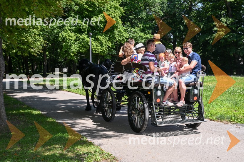 Mačje mesto 2022, družinski festival