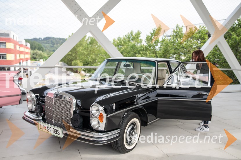 Premiera filma Elvis, Cineplexx Ljubljana