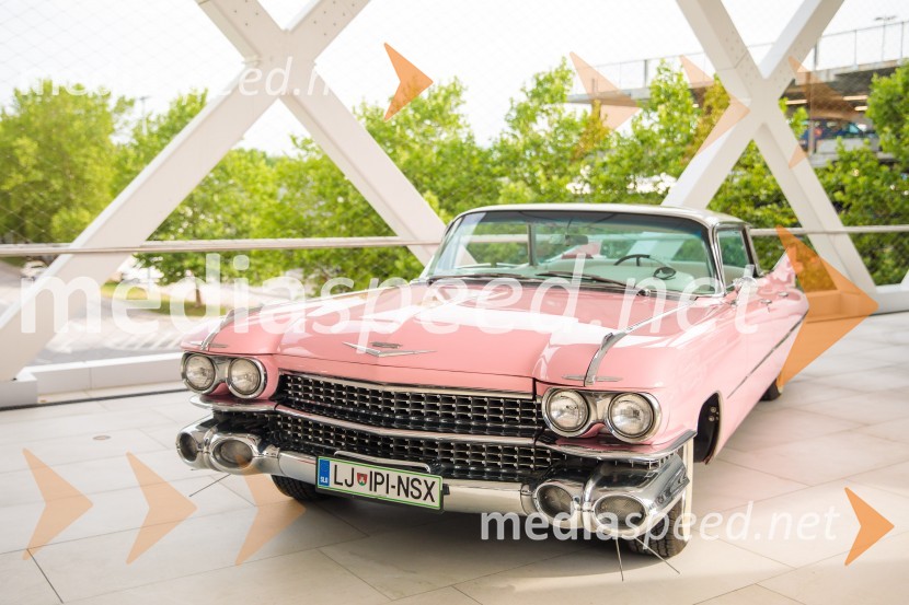 Premiera filma Elvis, Cineplexx Ljubljana