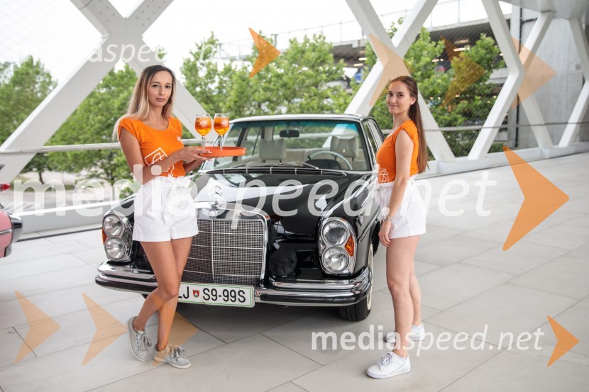 Premiera filma Elvis, Cineplexx Ljubljana