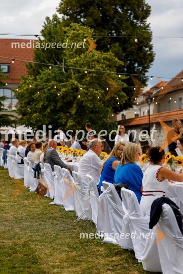 Kranjska dolga miza 2022, Zeleni kulinarični dogodek