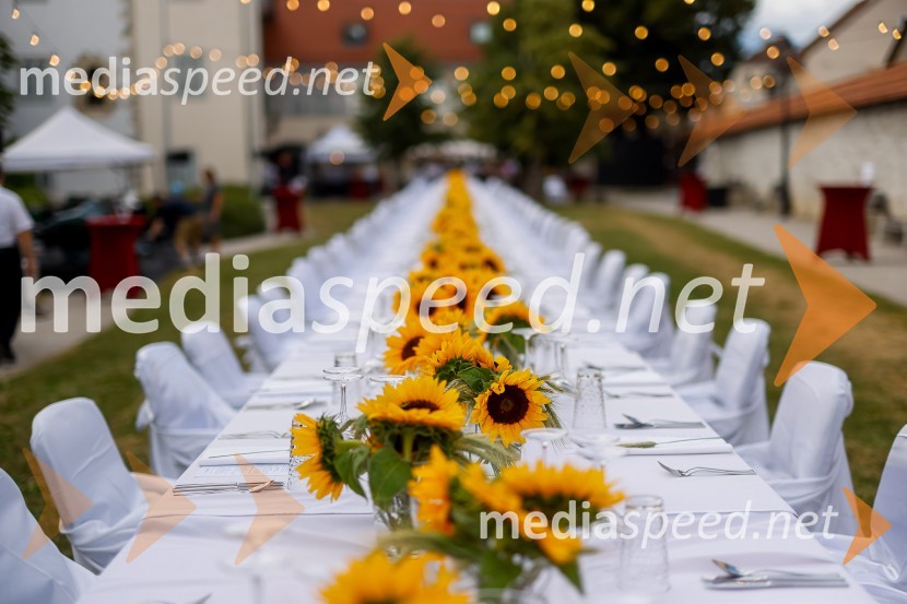 Kranjska dolga miza 2022, Zeleni kulinarični dogodek