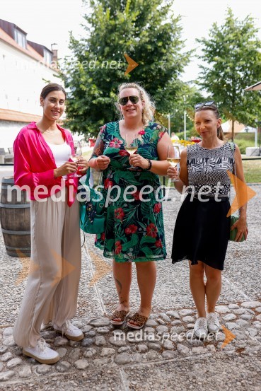 Kranjska dolga miza 2022, Zeleni kulinarični dogodek