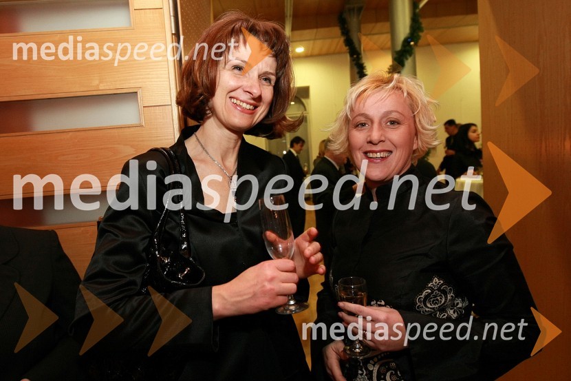 Prof. dr. Nataša Vaupotič, dekanica Fakultete za naravoslovje in matematiko Univerze v Mariboru in ...Ponovoletni sprejem rektorja Univerze v Mariboru