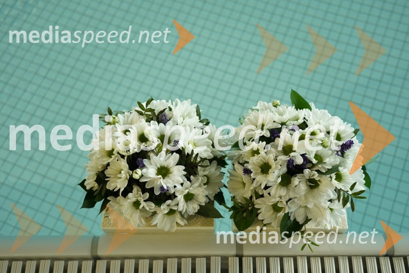 Otvoritev in ogled bazenskega kompleksa Aqualatio, Slovenj Gradec