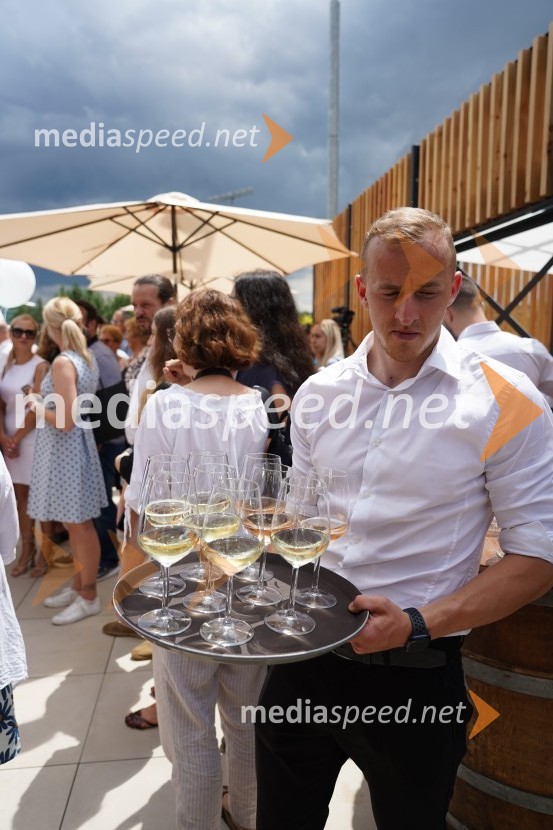 Otvoritev in ogled bazenskega kompleksa Aqualatio, Slovenj Gradec