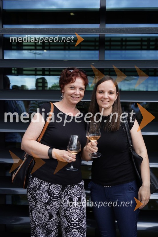 Otvoritev in ogled bazenskega kompleksa Aqualatio, Slovenj Gradec