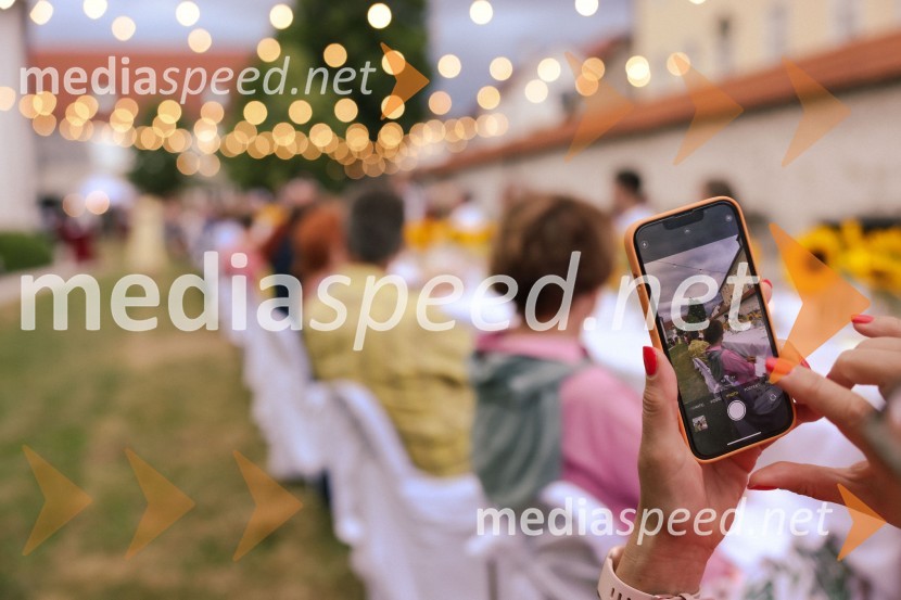 Kranjska dolga miza 2022, Zeleni kulinarični dogodek