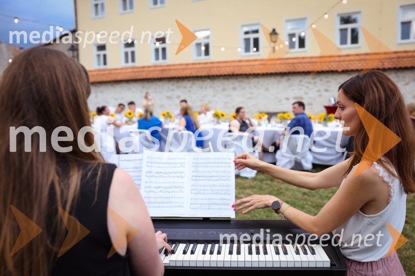 Kranjska dolga miza 2022, Zeleni kulinarični dogodek