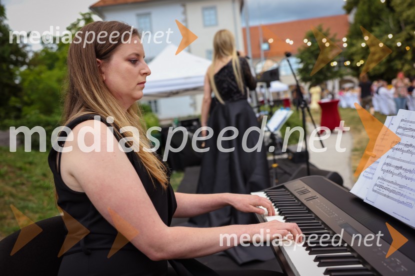 Kranjska dolga miza 2022, Zeleni kulinarični dogodek