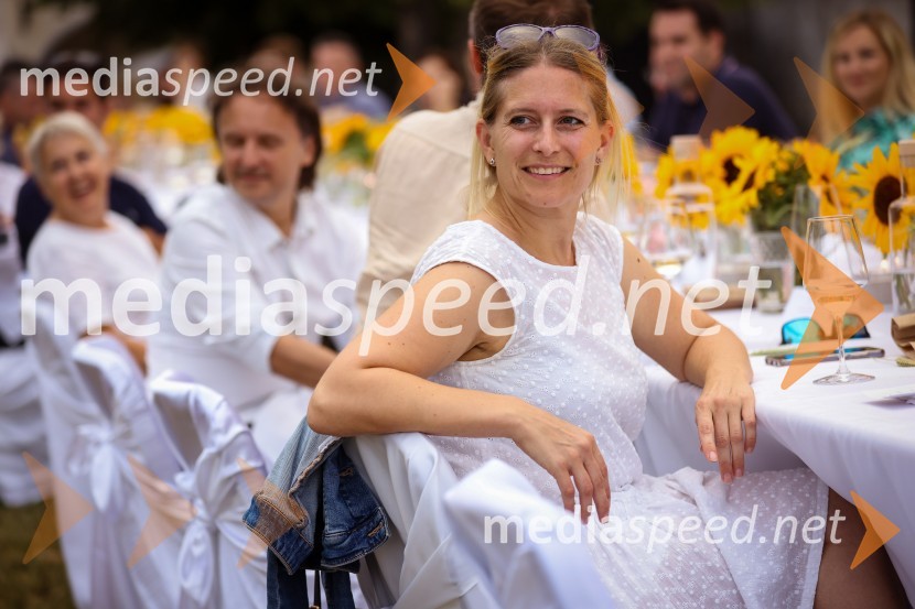 Kranjska dolga miza 2022, Zeleni kulinarični dogodek