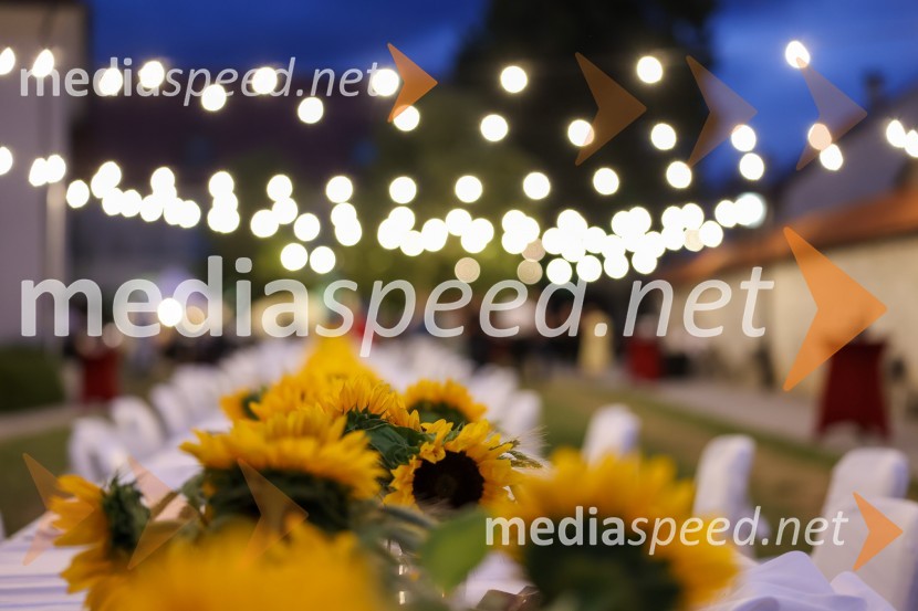 Kranjska dolga miza 2022, Zeleni kulinarični dogodek