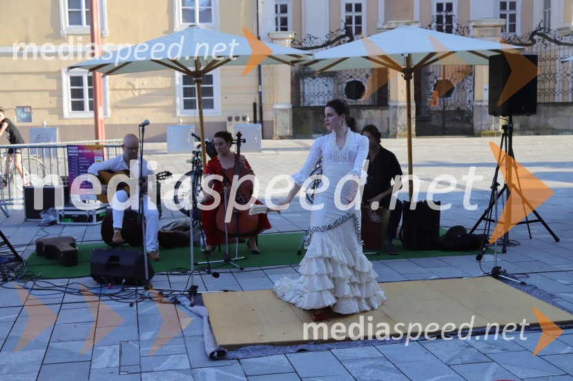 30. Festival Lent, sobota 25. 6. 2022