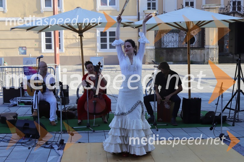 30. Festival Lent, sobota 25. 6. 2022