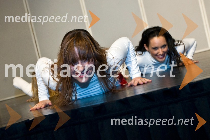 ZmajčiceZmajčice, plesni spektakel