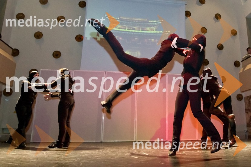 ZmajčiceZmajčice, plesni spektakel