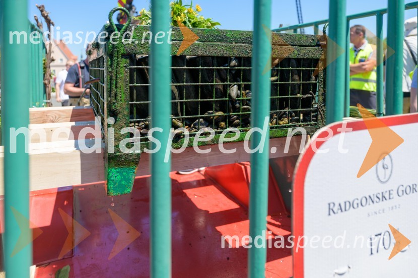 Dan odprtih kleti 2022 v Radgonskih goricah