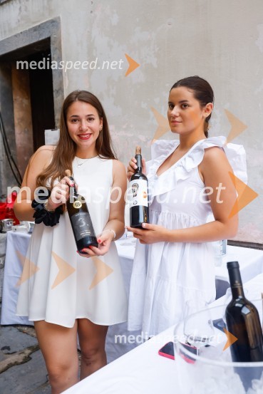 Sprejem Term Dobrna, West Side Story, Festival Ljubljana 2022