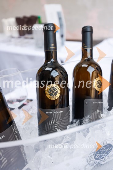 Sprejem Term Dobrna, West Side Story, Festival Ljubljana 2022