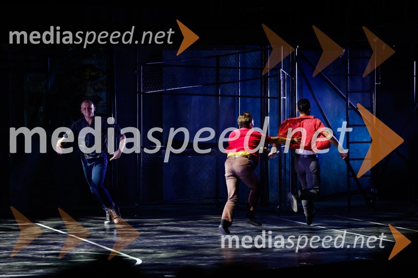 Sprejem Term Dobrna, West Side Story, Festival Ljubljana 2022