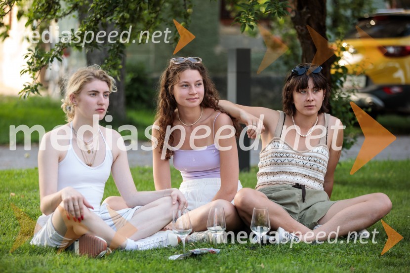 Obedi ter obredi, zaključna prireditev projekta