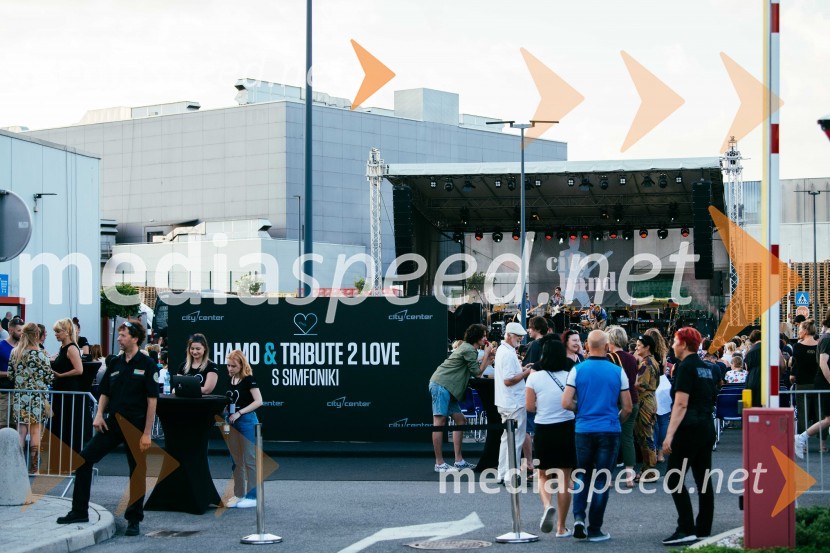 Hamo&Tribute 2 love s simfoniki, koncert v CityCenter Celje