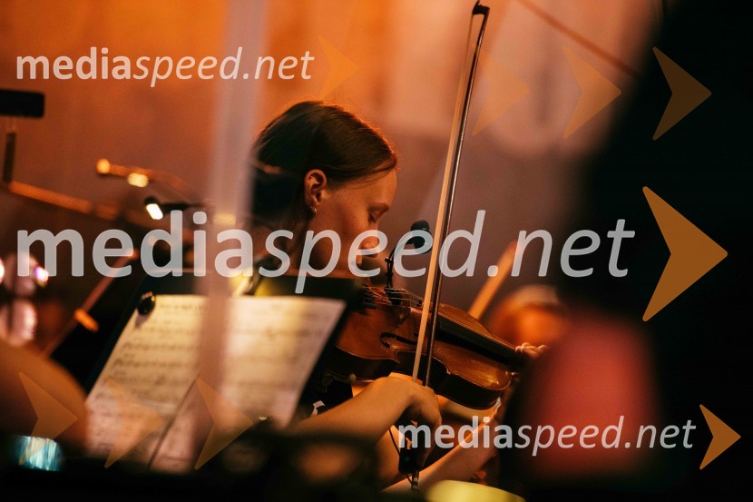 Hamo&Tribute 2 love s simfoniki, koncert v CityCenter Celje