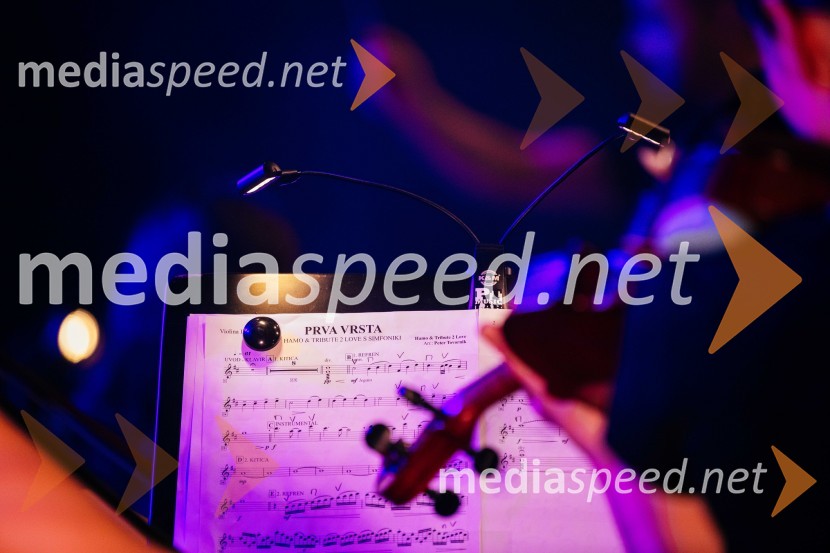 Hamo&Tribute 2 love s simfoniki, koncert v CityCenter Celje