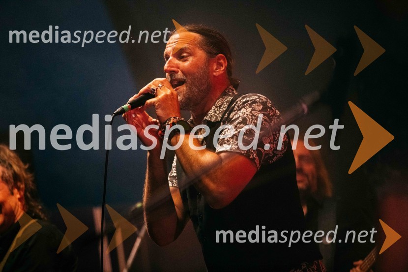  Matevž Šalehar-Hamo, glasbenik, Hamo & Tribute 2 LoveHamo&Tribute 2 love s simfoniki, koncert v CityCenter Celje