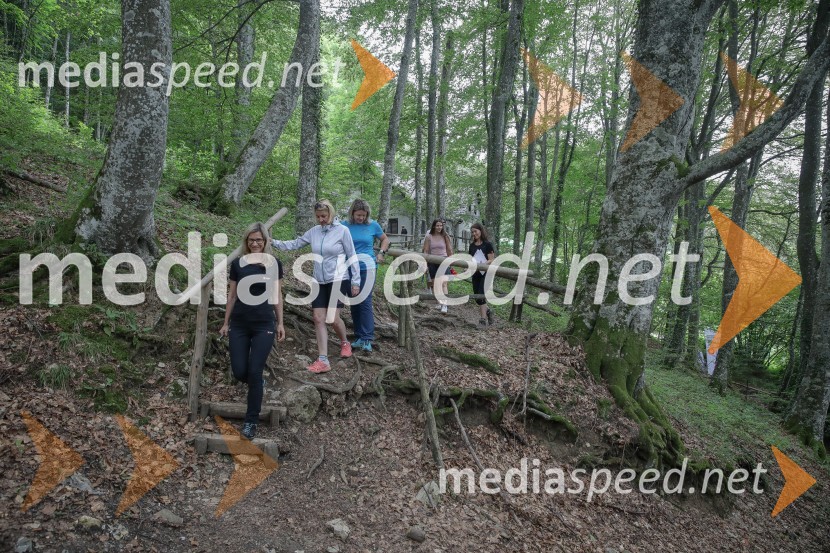   Ana Cergolj Kebler, Zavarovalnica TriglavVedno več obiskovalcev gora, več dela za markaciste