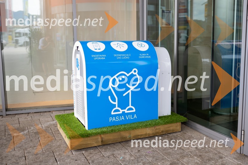 Postavitev Pasje vila, Citycenter Celje