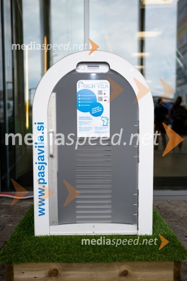 Postavitev Pasje vila, Citycenter Celje