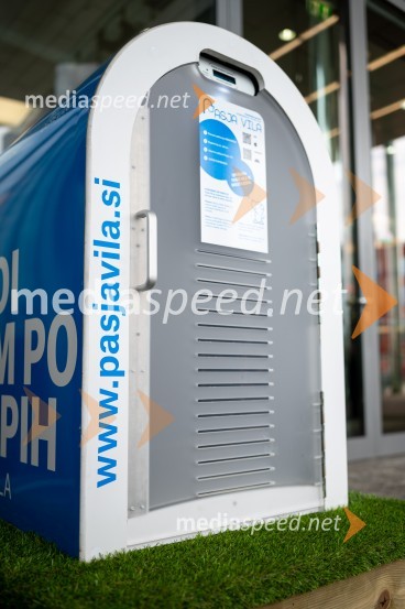 Postavitev Pasje vila, Citycenter Celje