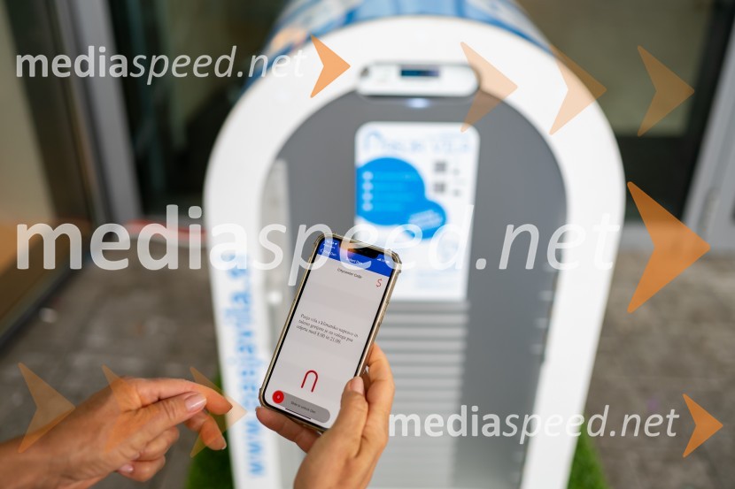 Postavitev Pasje vila, Citycenter Celje