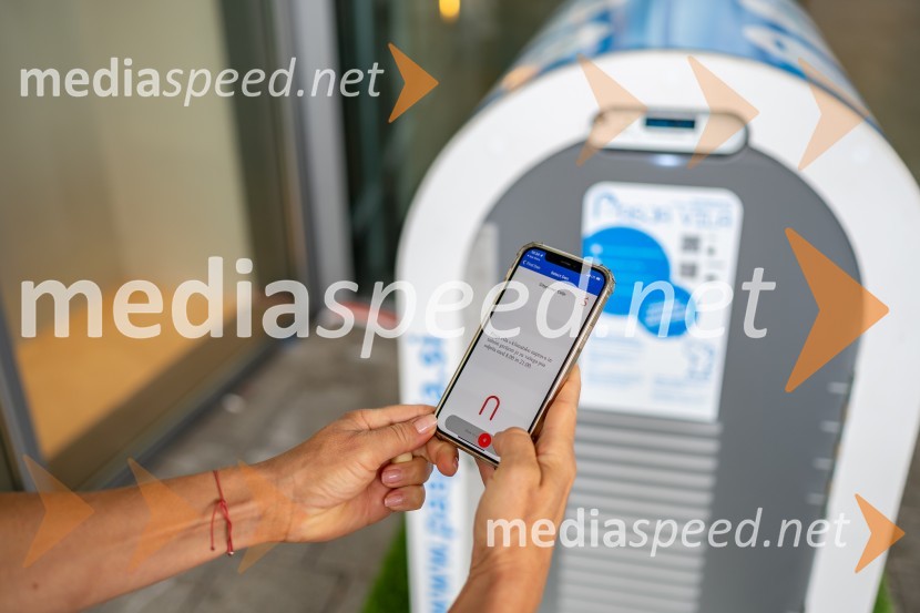 Postavitev Pasje vila, Citycenter Celje