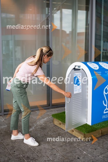 Postavitev Pasje vila, Citycenter Celje