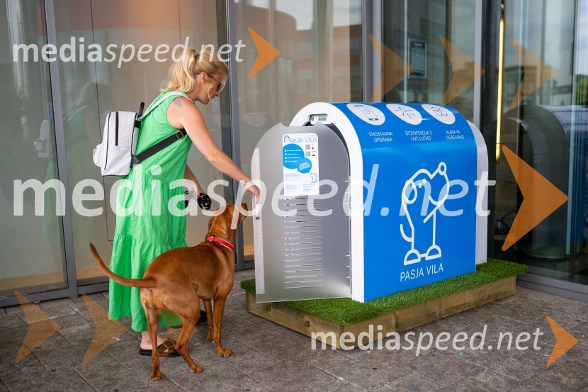 Postavitev Pasje vila, Citycenter Celje