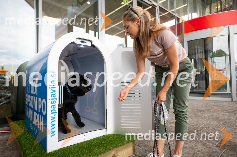 Postavitev Pasje vila, Citycenter Celje